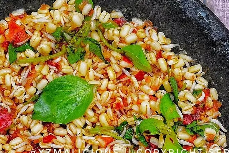 Resep cara membuat sambal kecambah cara membuat sambal kecambah